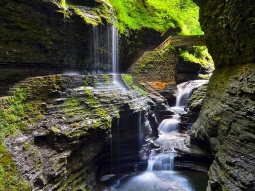 SF15AB-13572 scenics 2