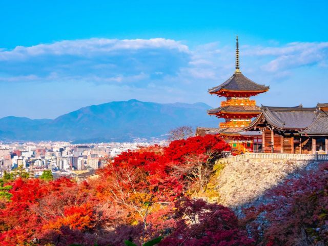 Osaka/Kyoto: Kiyomizu-dera Temple,Fushimi-Inari Taisha Shrine, Nara Park Cute Deer 1 Day Trip (Small Groups Available)