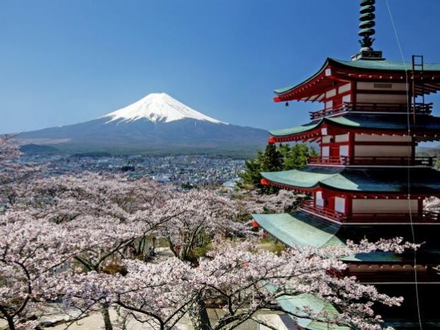 [Small Groups] Tokyo: Mount Fuji Area Arakurayama Sengen Park, Oshino Hakkai, Kawaguchi Lake 1 Day Tour
