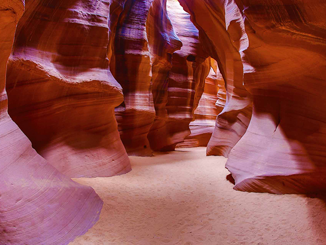 1 Day Tour Upper or Lower Antelope Canyon Horseshoe Bend from Las