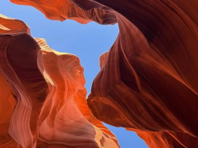 San Francisco Airport Pickup + Lake Tahoe + Snake River Canyon + Yellowstone National Park + Grand Teton National Park + Lower Antelope Canyon + Grand Canyon National Park + Las Vegas + 10-Day Independent Tour