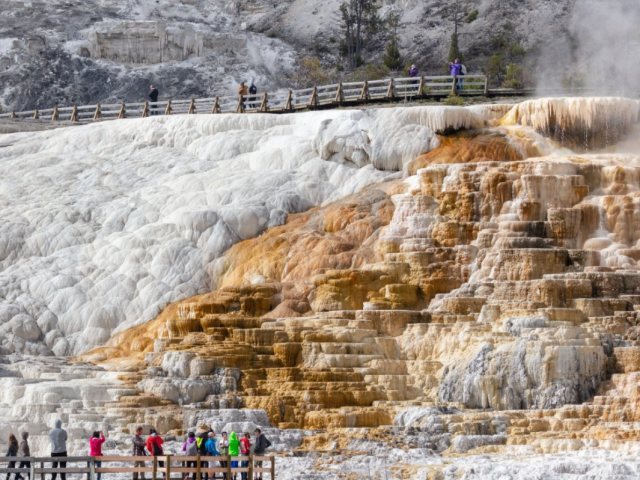 12-Day Tour: San Francisco, Yosemite, Las Vegas, Lower Antelope Canyon, Horseshoe Bend, Yellowstone, Grand Teton, Salt Lake City, Los Angeles